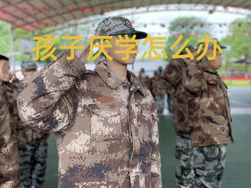厭學孩子學校,厭學學校