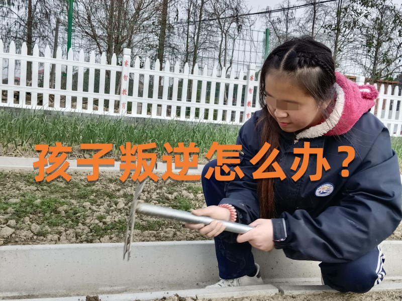 少年叛逆管教學(xué)校