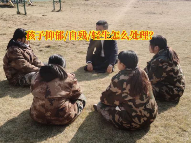 心理輔導(dǎo)學(xué)校,抑郁癥治療學(xué)校