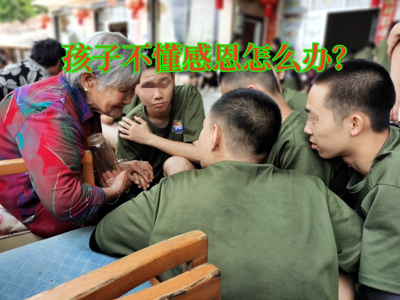 叛逆孩子教育學校,青春期叛逆教育學校