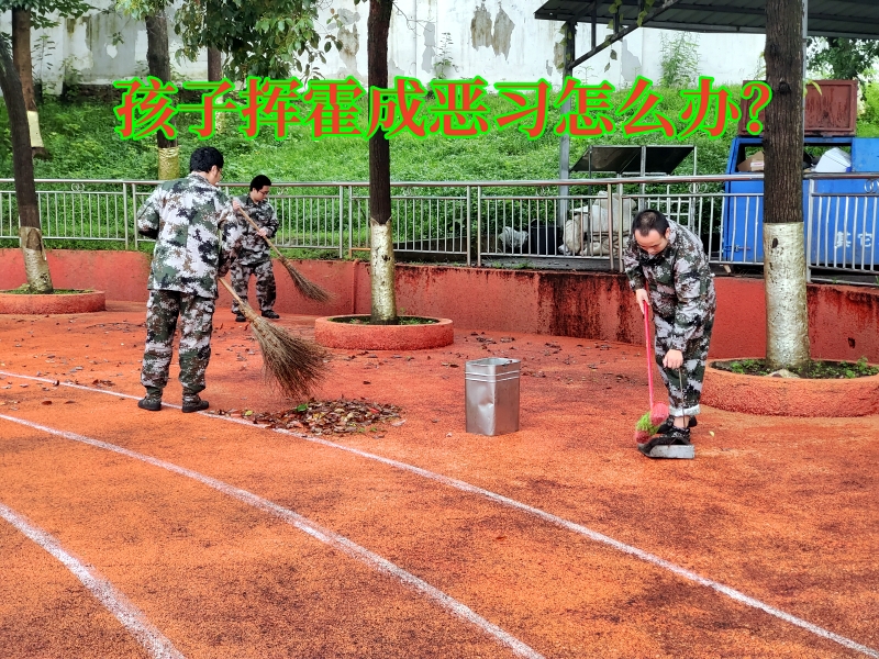 軍事夏令營(yíng),暑期夏令營(yíng)