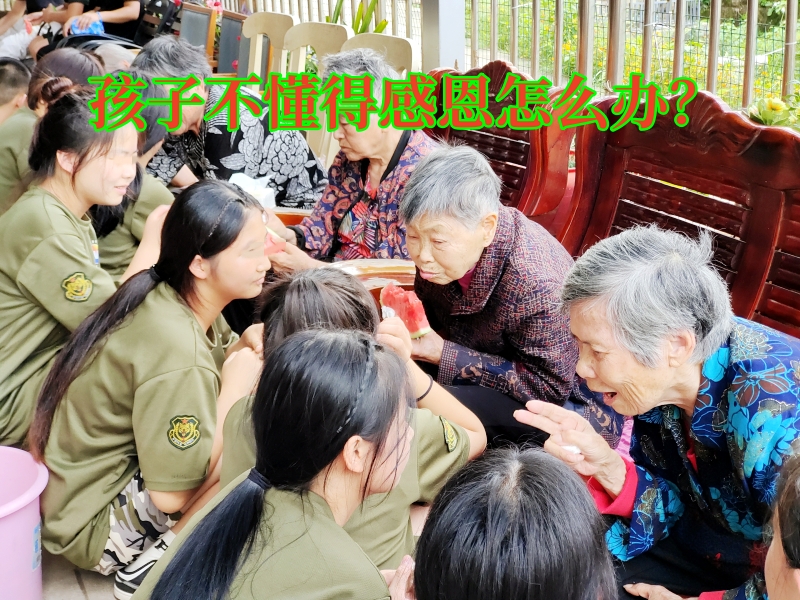 叛逆教育學(xué)校,青少年特訓(xùn)學(xué)校