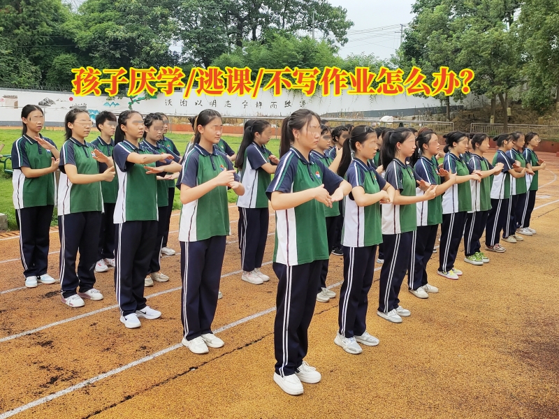 厭學孩子學校,厭學學校
