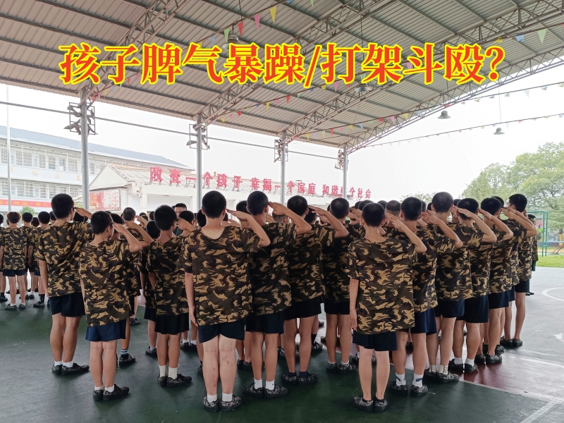 行為矯正學校,正規的青少年矯正學校
