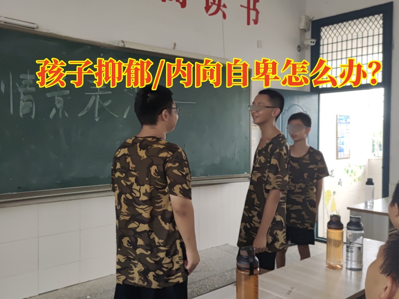 抑郁癥治療學(xué)校,心理輔導(dǎo)學(xué)校