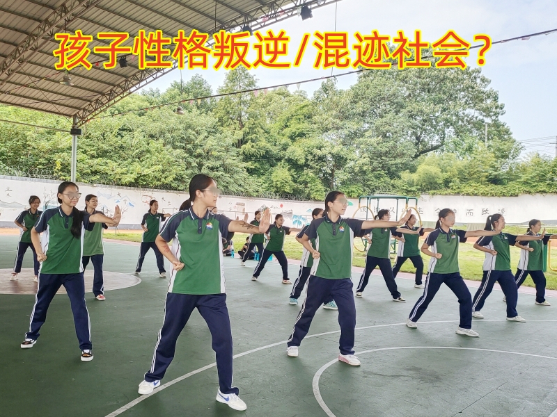 素質教育學校,青少年教育學校
