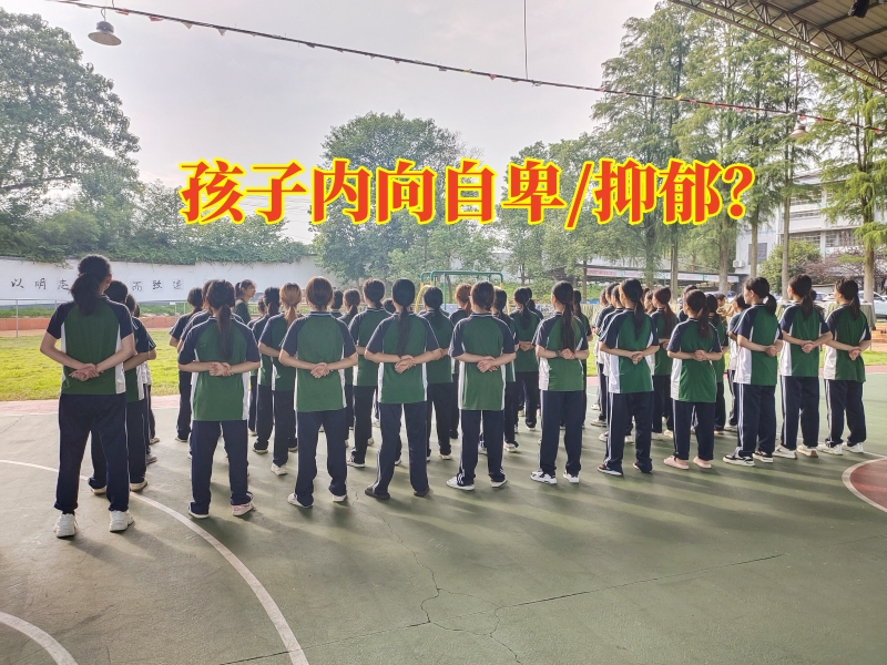 心理輔導(dǎo)學(xué)校,心理問題孩子學(xué)校