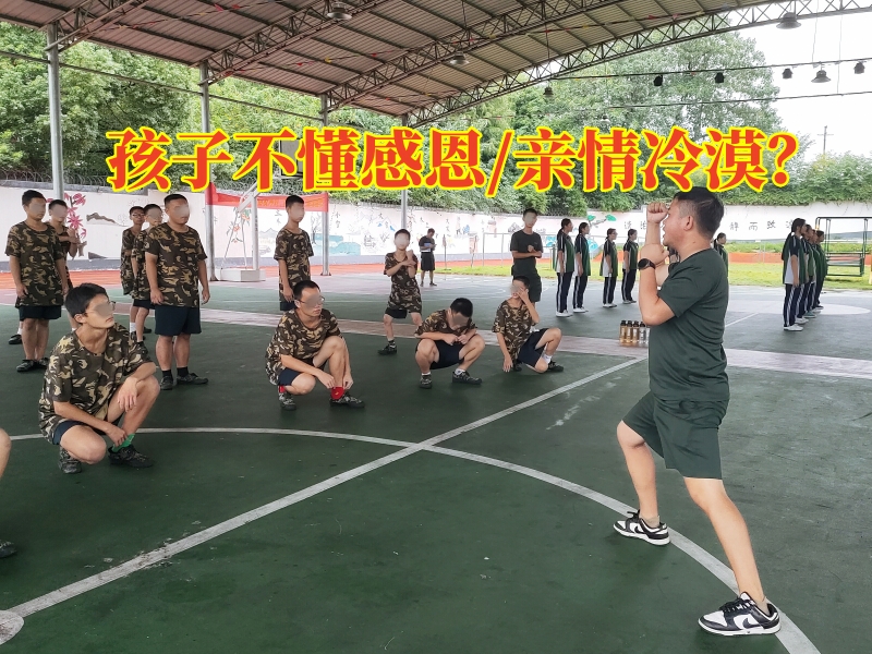 素質教育學校,青少年教育學校