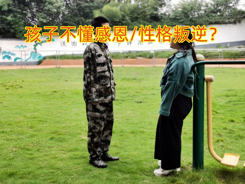 感恩教育學(xué)校,青少年教育學(xué)校