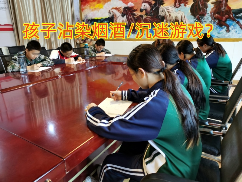 行為矯正學(xué)校,正規(guī)的青少年矯正學(xué)校