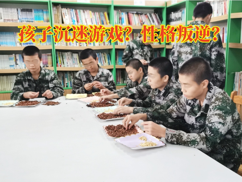 戒網(wǎng)癮學(xué)校,戒網(wǎng)癮教育學(xué)校