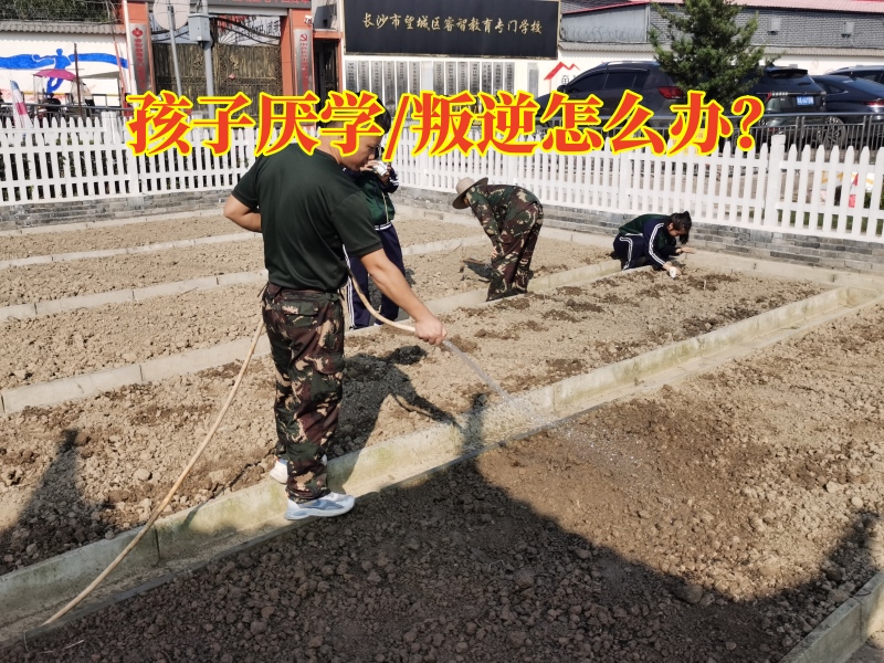 厭學(xué)孩子學(xué)校,孩子厭學(xué)教育學(xué)校