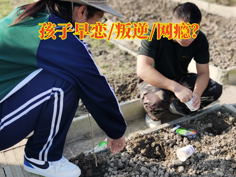 早戀教育學校,孩子早戀矯正學校