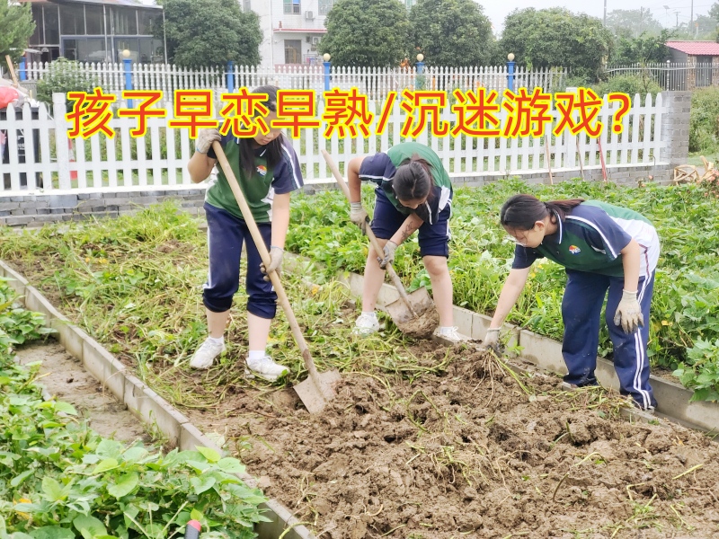 早戀教育學(xué)校,孩子早戀矯正學(xué)校