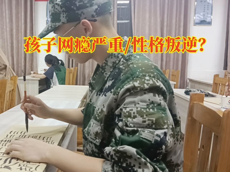 正規(guī)網(wǎng)癮戒除教育學校
