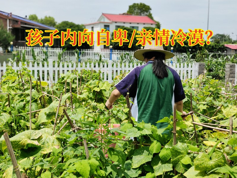 孩子心理疏導學校：如何拯救內向的孩子？