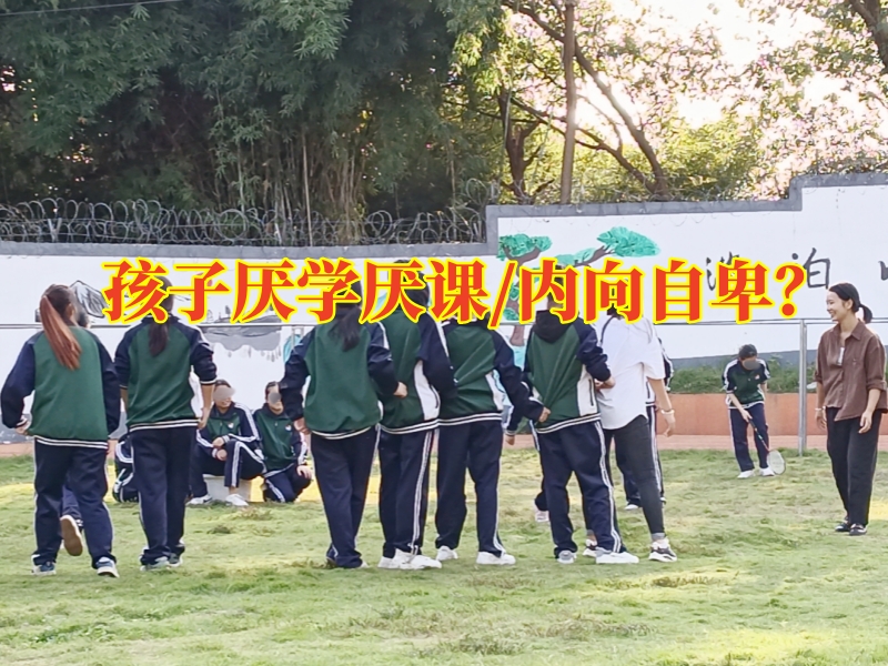 全國厭學(xué)少年管教學(xué)校：孩子出現(xiàn)厭學(xué)竟是這些原因