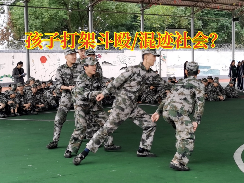 湖南叛逆特訓學校：小學孩子打架家長該怎么教育？