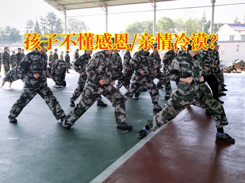感恩教育叛逆學(xué)校：孩子不懂感恩還將父母當仇人？感恩教育叛逆學(xué)校