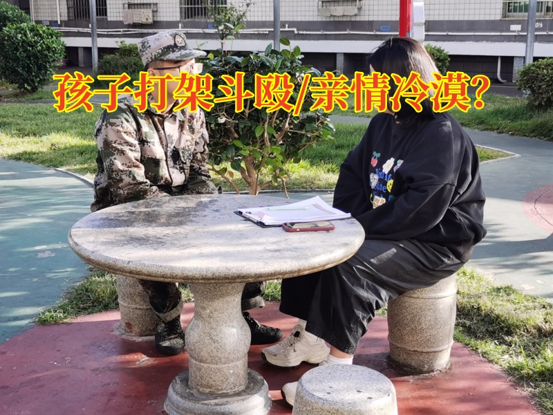 特訓教育學校：孩子們為什么喜歡打架？