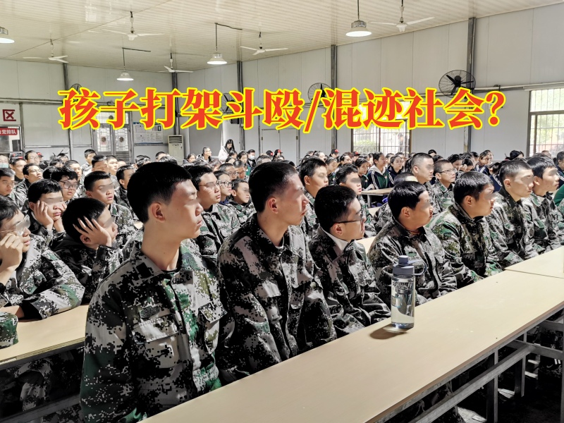 封閉管教學校：孩子打鬧家長該怎么教育？