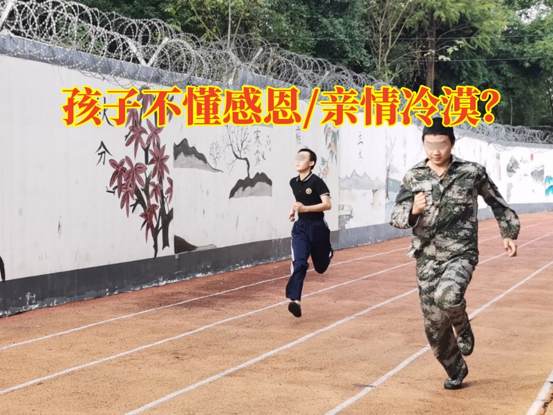 感恩教育叛逆學校這樣教育孩子學會感恩，感恩教育叛逆學校