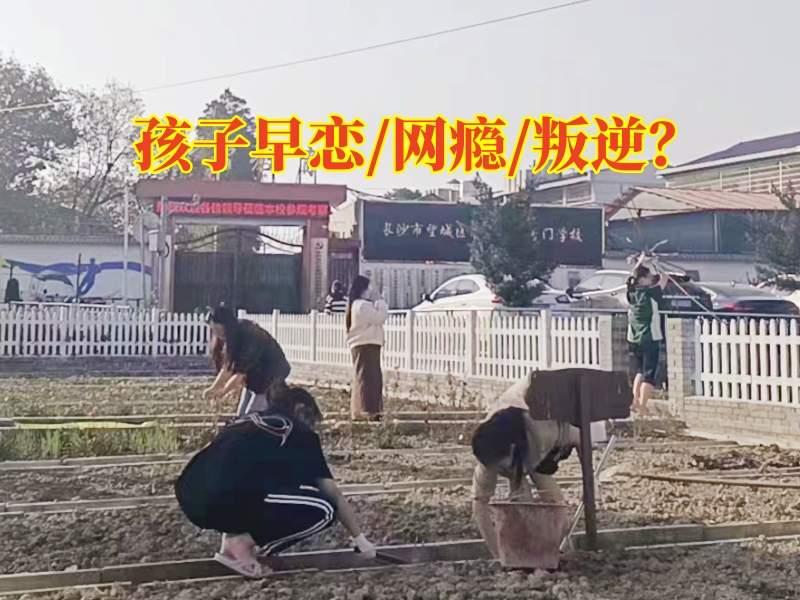 學生早戀學校矯正孩子早戀問題，學生早戀學校