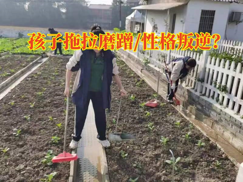 學生軍事化學校對付孩子的拖拉的三個方法，學生軍事化學校