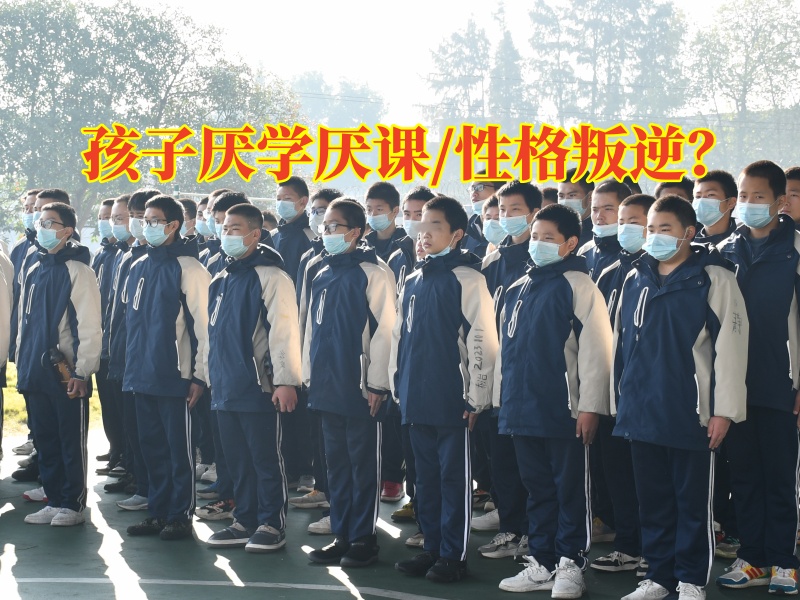 厭學(xué)孩子的專(zhuān)門(mén)學(xué)校幫助家長(zhǎng)解決孩子不想上學(xué)問(wèn)題