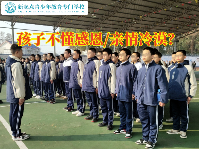 益陽成長教育學校建議這樣培養孩子感恩意識
