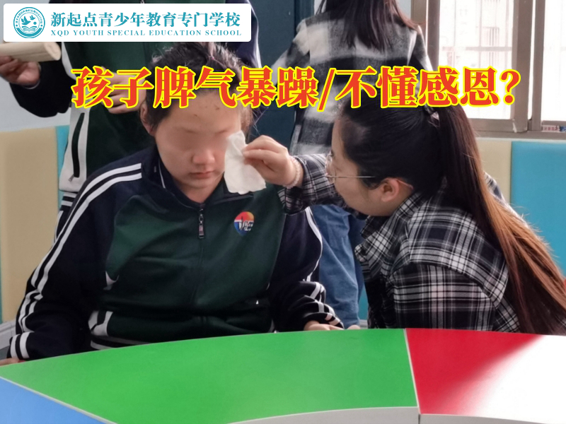 全封閉式叛逆軍訓學校建議這樣改善孩子脾氣大問題，全封閉叛逆軍訓學校