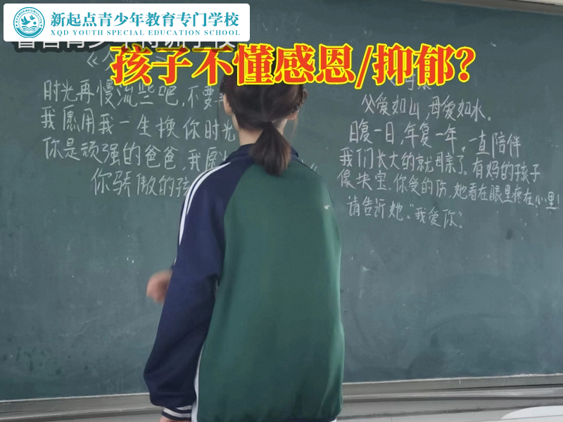 不懂感恩，正規封閉式叛逆孩子學校針對孩子不懂感恩