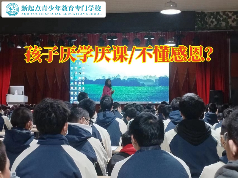 青少年全封閉學(xué)校建議這樣教育學(xué)習(xí)態(tài)度差的初中孩子