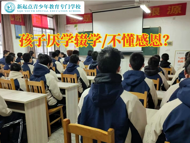 正規封閉式管教學校建議這樣教育不愛寫作業的孩子，正規封閉式管教學校