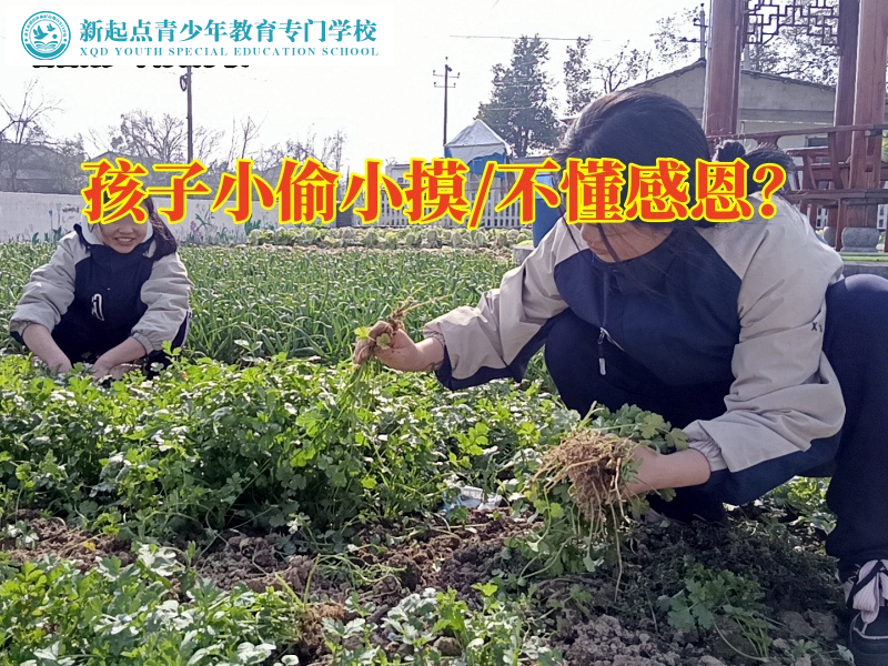 長沙叛逆封閉學校分析孩子喜歡小偷小摸的原因