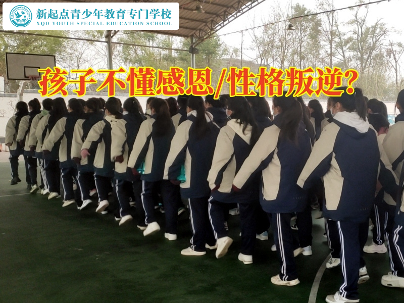 專門管教叛逆孩子機構(gòu)教育不懂感恩的孩子成長
