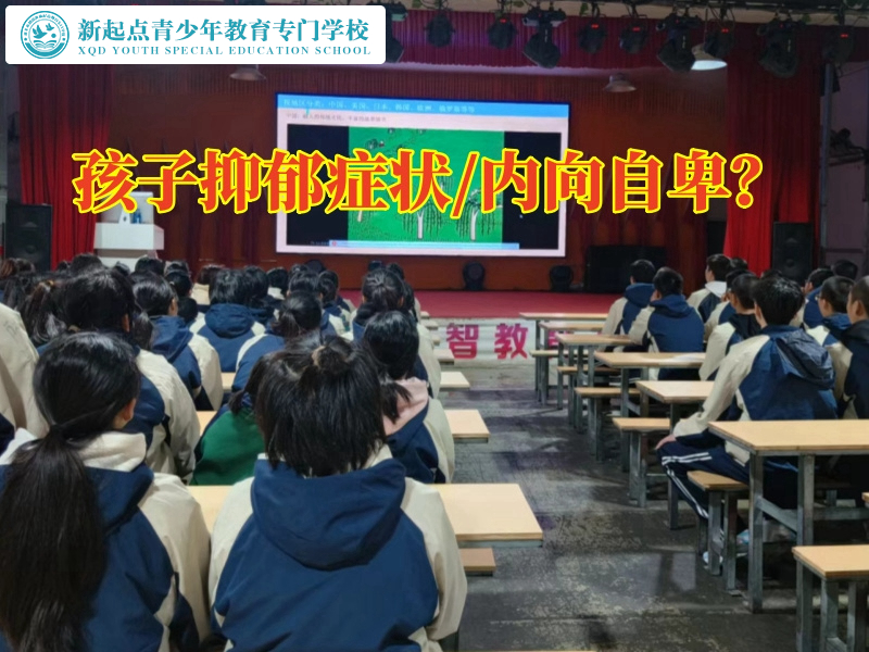 全封閉式青少年特訓(xùn)教育學(xué)校這樣應(yīng)對孩子不社交