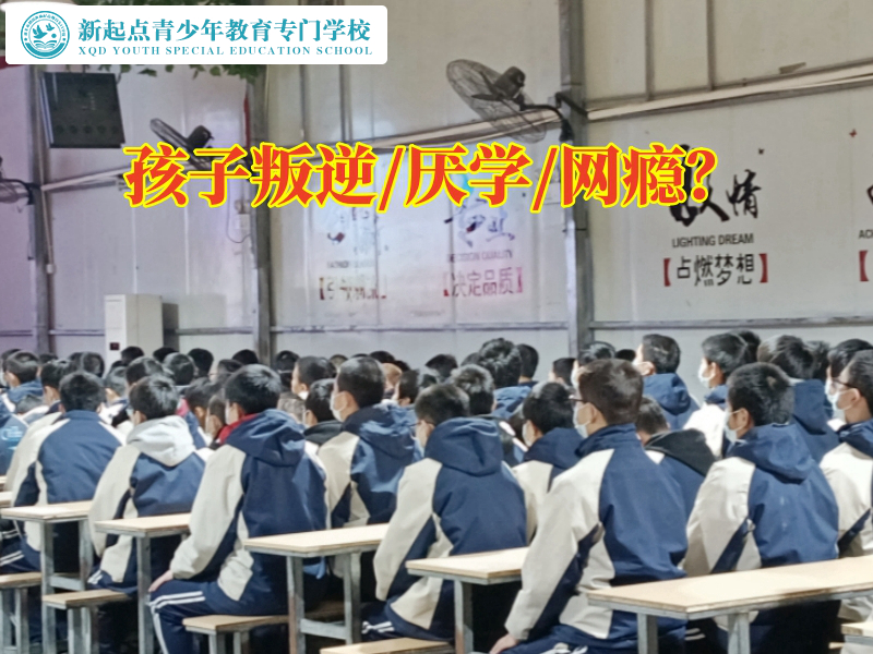 少年特訓教育學校這樣解決孩子非常叛逆