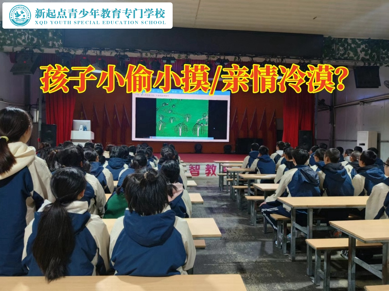 改造叛逆少年學(xué)校分析孩子愛偷錢的危害