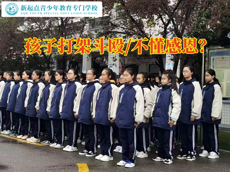 正規(guī)青少年訓(xùn)練學(xué)校教家長這樣教育愛打架的孩子