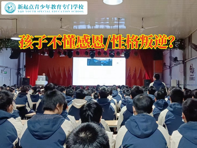 全封閉式管教叛逆孩子學(xué)校如何教育不懂感恩的孩子