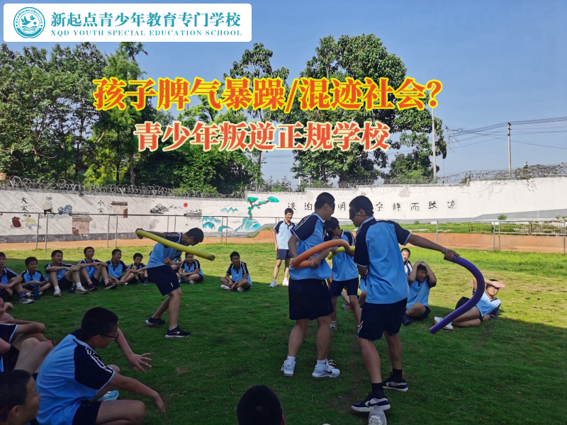 青少年叛逆正規(guī)學(xué)校教育脾氣暴躁孩子
