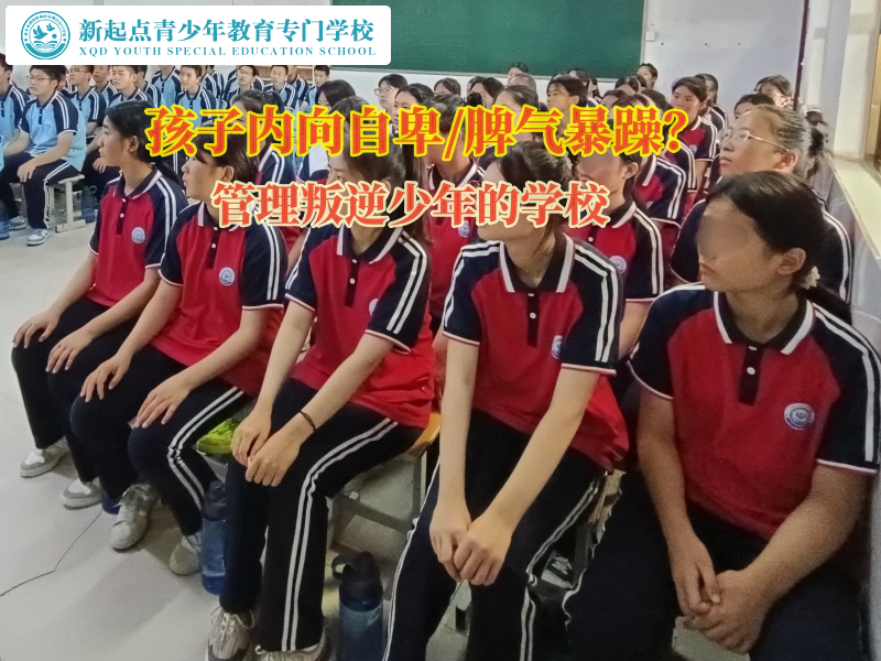 管理叛逆少年的學校幫助孩子克服自卑心理