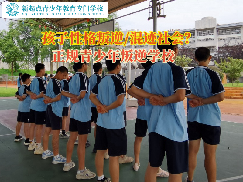 正規(guī)青少年叛逆學(xué)校矯正孩子仇視父母行為