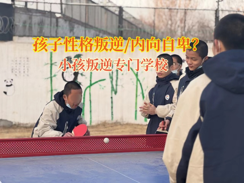 小孩叛逆專門學(xué)校教育特別膽小的青少年