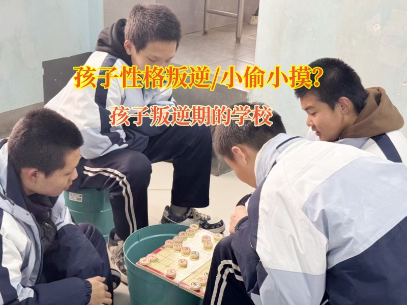 孩子叛逆期的學(xué)校應(yīng)對青少年小偷小摸
