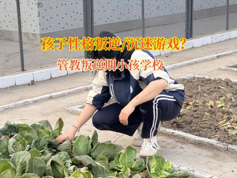 管教叛逆期小孩學(xué)校幫助孩子走出手機(jī)虛擬世界