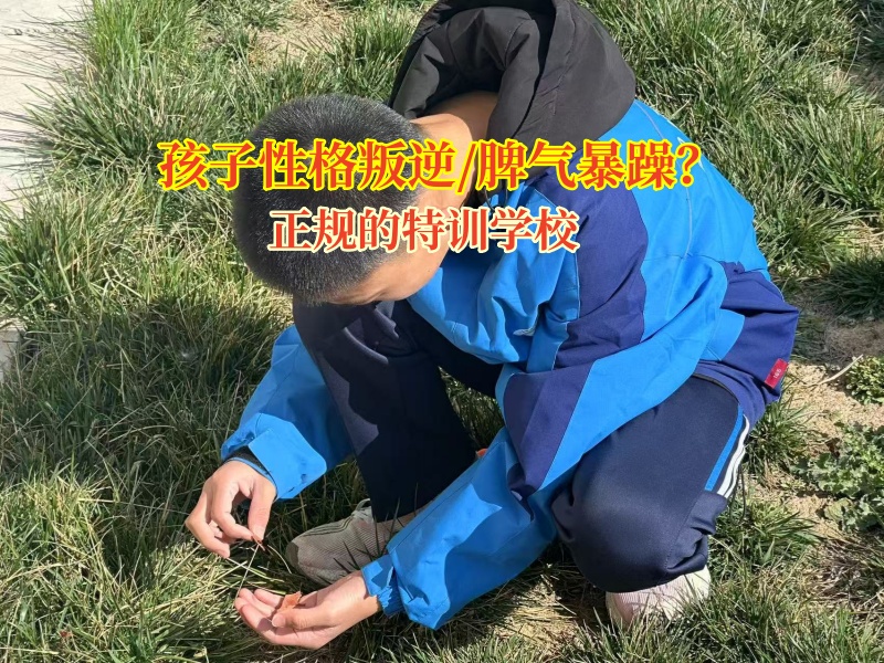 正規(guī)的特訓(xùn)學(xué)校解鎖孩子脾氣暴的“金鑰匙”