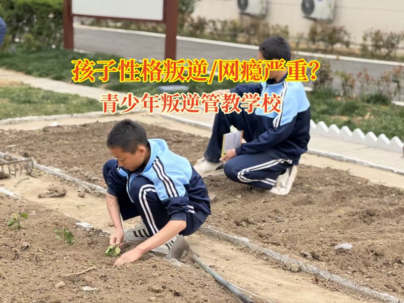 青少年叛逆管教學校矯正孩子沉迷網(wǎng)絡小說