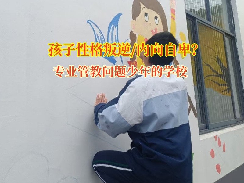 專業(yè)管教問題少年的學校教孩子走出孤僻怪圈
